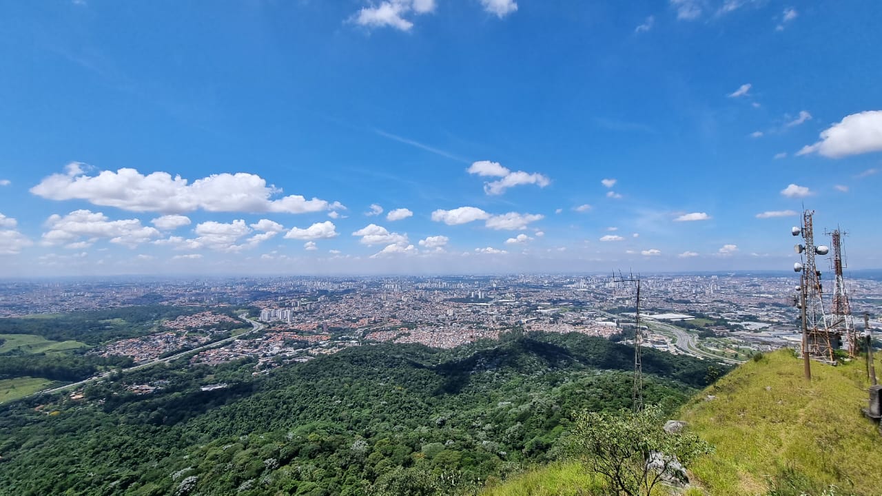 São Paulo City: 5-Hour Private Tour